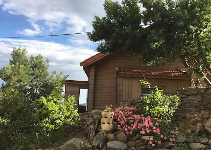 Chalet les mimosas Le Lavandou